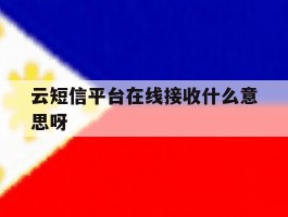云短信平台在线接收什么意思呀