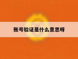 账号验证是什么意思呀