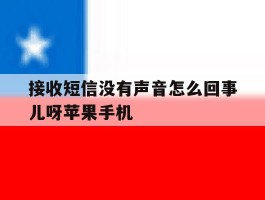 包含接收短信没有声音怎么回事儿呀苹果手机的词条