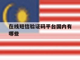 在线短信验证码平台国内有哪些
