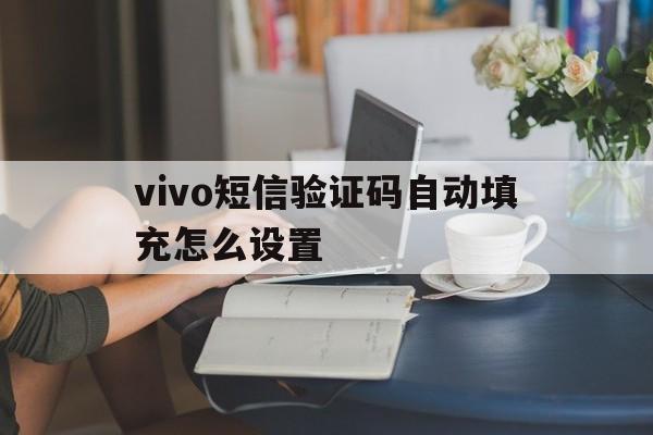 vivo短信验证码自动填充怎么设置 vivo短信验证码自动填充怎么设置