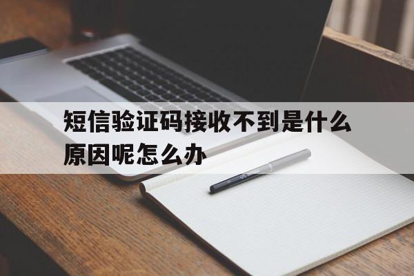 关于短信验证码接收不到是什么原因呢怎么办的信息 关于短信验证码接收不到是什么原因呢怎么办的信息