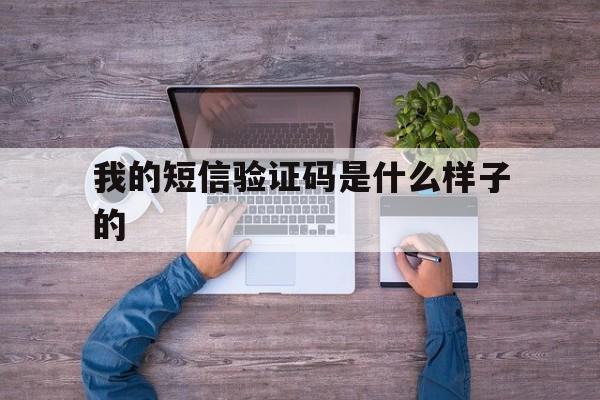 我的短信验证码是什么样子的 我的短信验证码是什么样子的