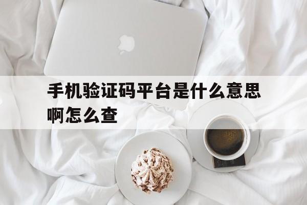 手机验证码平台是什么意思啊怎么查 手机验证码平台是什么意思啊怎么查
