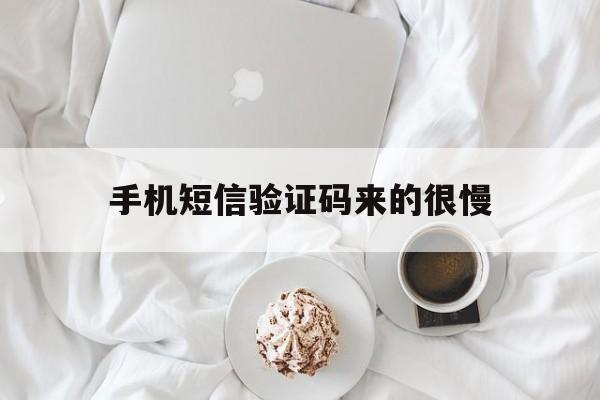手机短信验证码来的很慢 手机短信验证码来的很慢
