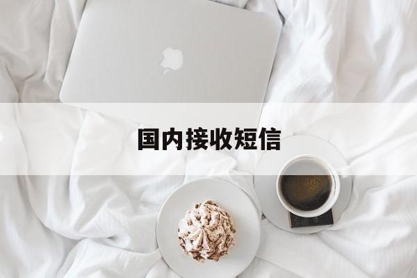 国内接收短信 国内接收短信