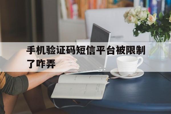 手机验证码短信平台被限制了咋弄 手机验证码短信平台被限制了咋弄