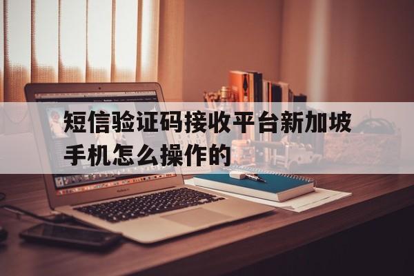 短信验证码接收平台新加坡手机怎么操作的 短信验证码接收平台新加坡手机怎么操作的