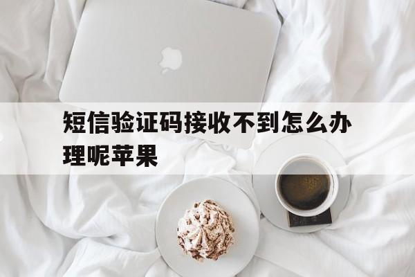 短信验证码接收不到怎么办理呢苹果 短信验证码接收不到怎么办理呢苹果