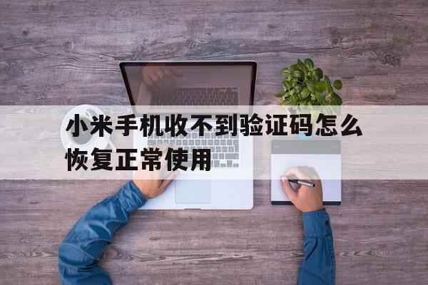 小米手机收不到验证码怎么恢复正常使用 小米手机收不到验证码怎么恢复正常使用