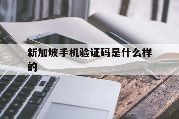 新加坡手机验证码是什么样的 新加坡手机验证码是什么样的