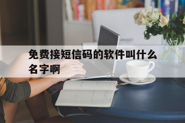 免费接短信码的软件叫什么名字啊 免费接短信码的软件叫什么名字啊