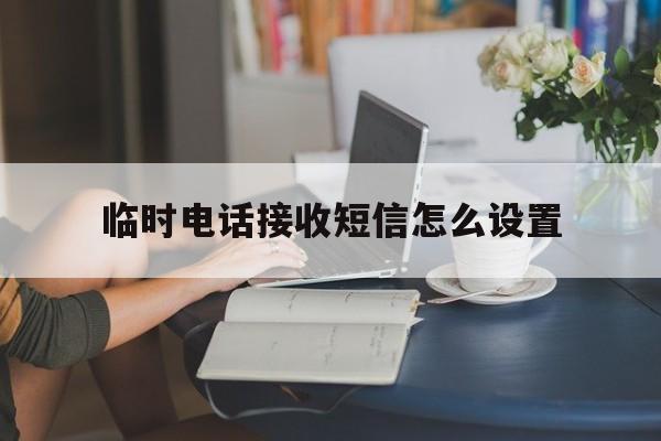 临时电话接收短信怎么设置 临时电话接收短信怎么设置