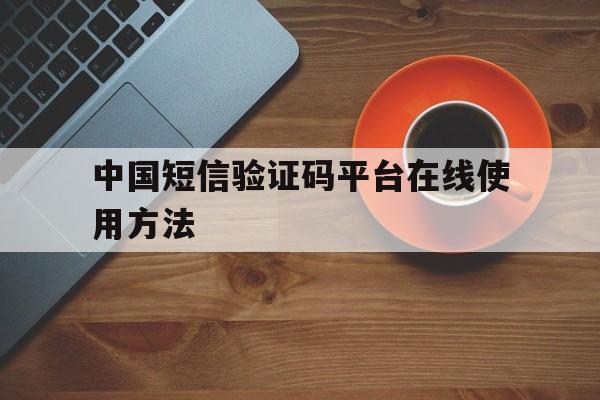 中国短信验证码平台在线使用方法 中国短信验证码平台在线使用方法