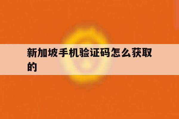 新加坡手机验证码怎么获取的 新加坡手机验证码怎么获取的