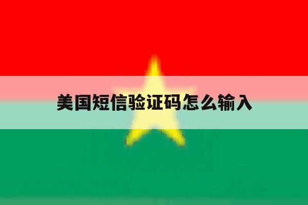 美国短信验证码怎么输入 美国短信验证码怎么输入