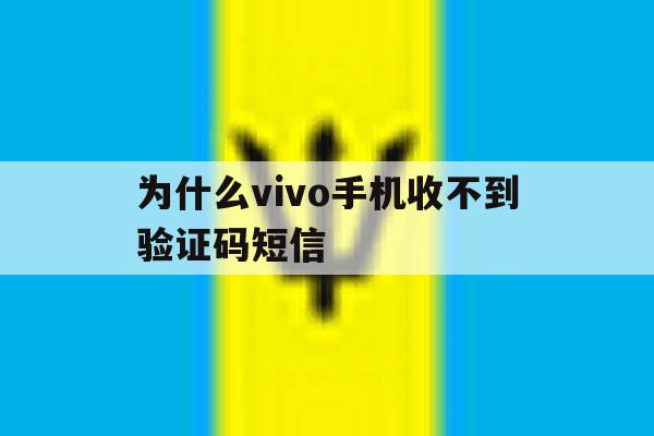 为什么vivo手机收不到验证码短信 为什么vivo手机收不到验证码短信