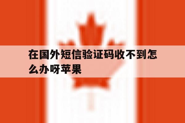 在国外短信验证码收不到怎么办呀苹果 在国外短信验证码收不到怎么办呀苹果