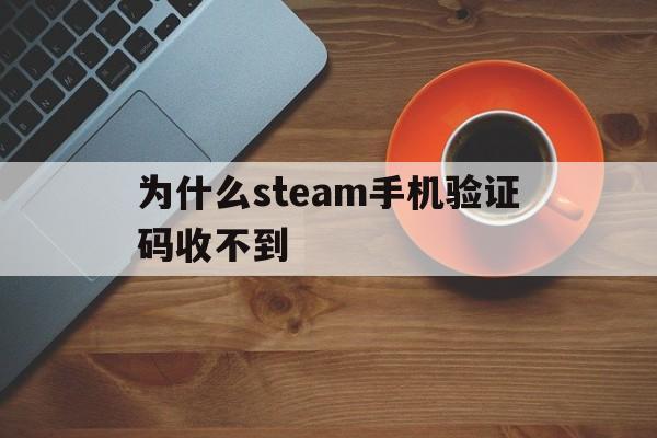 为什么steam手机验证码收不到 为什么steam手机验证码收不到