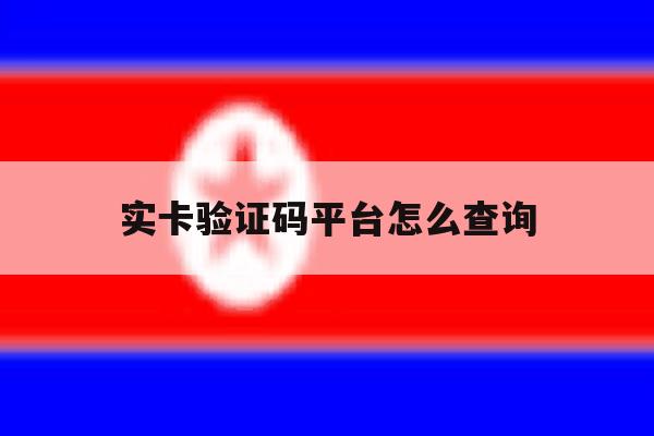 实卡验证码平台怎么查询 实卡验证码平台怎么查询