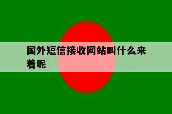 国外短信接收网站叫什么来着呢 国外短信接收网站叫什么来着呢