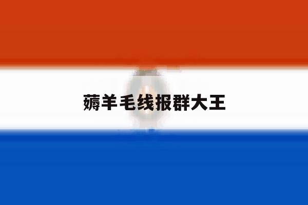 薅羊毛线报群大王 薅羊毛线报群大王