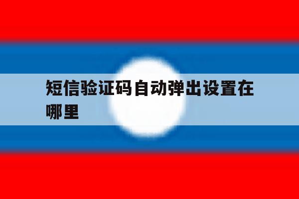 短信验证码自动弹出设置在哪里 短信验证码自动弹出设置在哪里