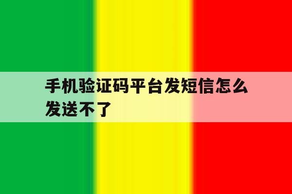 手机验证码平台发短信怎么发送不了 手机验证码平台发短信怎么发送不了
