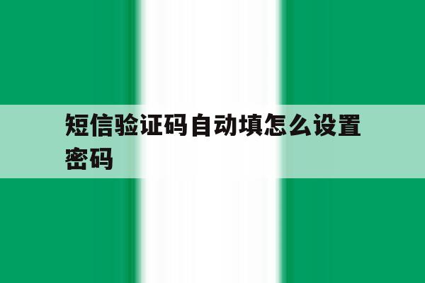 短信验证码自动填怎么设置密码 短信验证码自动填怎么设置密码