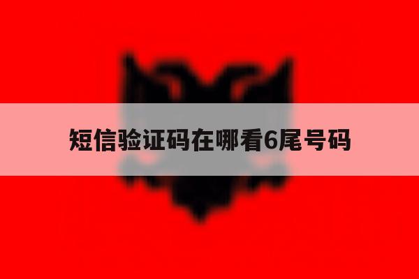 短信验证码在哪看6尾号码 短信验证码在哪看6尾号码