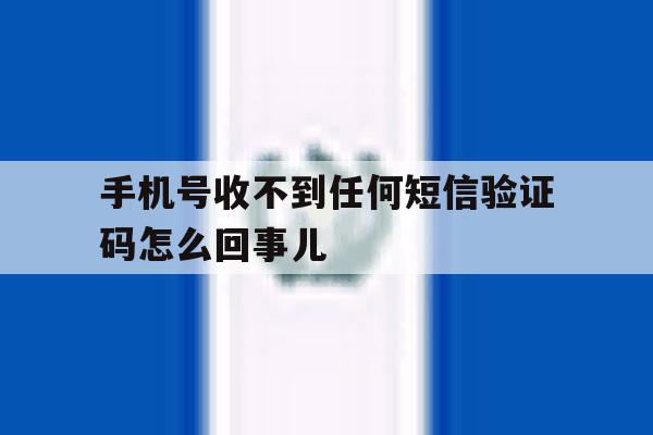 手机号收不到任何短信验证码怎么回事儿 手机号收不到任何短信验证码怎么回事儿