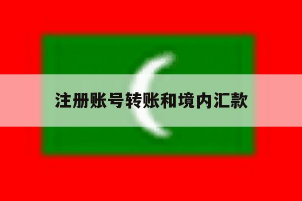 注册账号转账和境内汇款