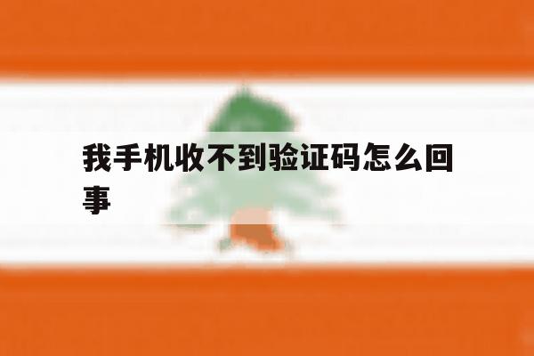我手机收不到验证码怎么回事 我手机收不到验证码怎么回事