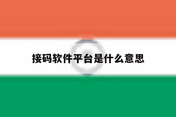 接码软件平台是什么意思 接码软件平台是什么意思