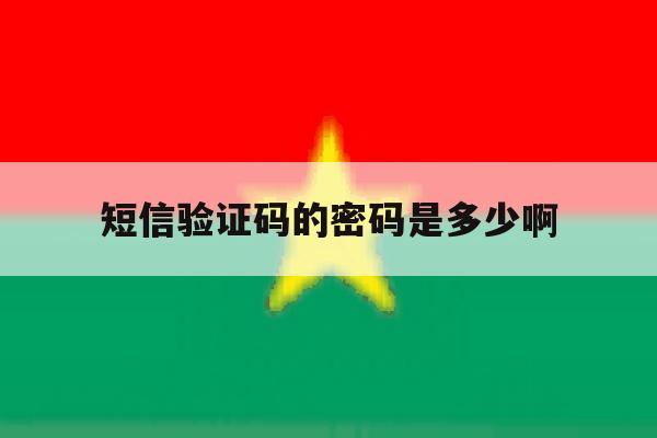 短信验证码的密码是多少啊 短信验证码的密码是多少啊