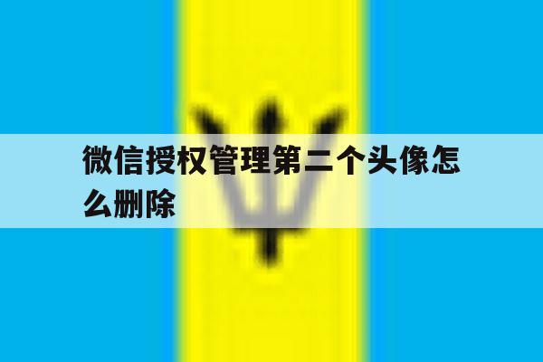 微信授权管理第二个头像怎么删除 微信授权管理第二个头像怎么删除