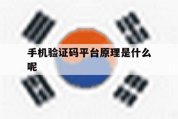手机验证码平台原理是什么呢 手机验证码平台原理是什么呢
