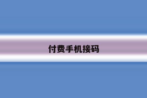 付费手机接码 付费手机接码