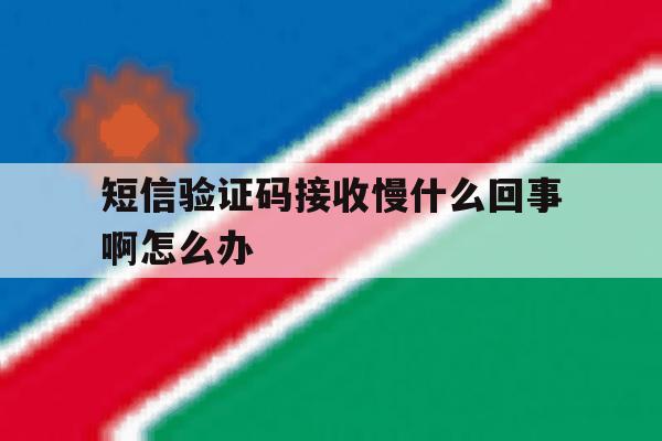 短信验证码接收慢什么回事啊怎么办 短信验证码接收慢什么回事啊怎么办