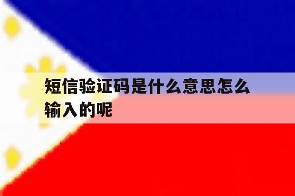 短信验证码是什么意思怎么输入的呢 短信验证码是什么意思怎么输入的呢