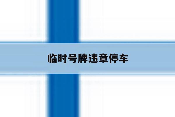 临时号牌违章停车 临时号牌违章停车