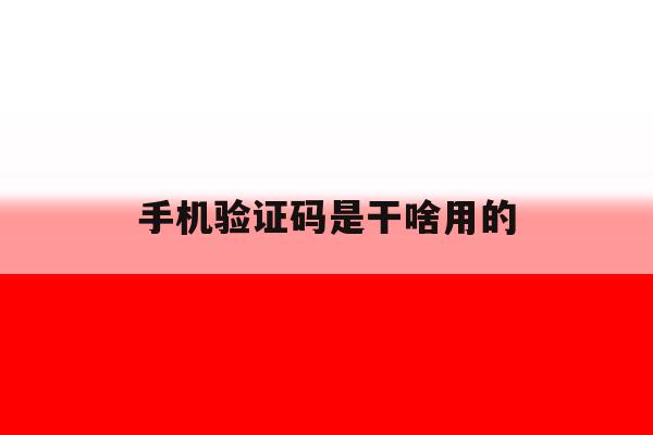 手机验证码是干啥用的 手机验证码是干啥用的