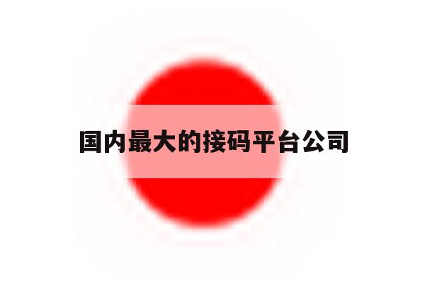 国内最大的接码平台公司 国内最大的接码平台公司