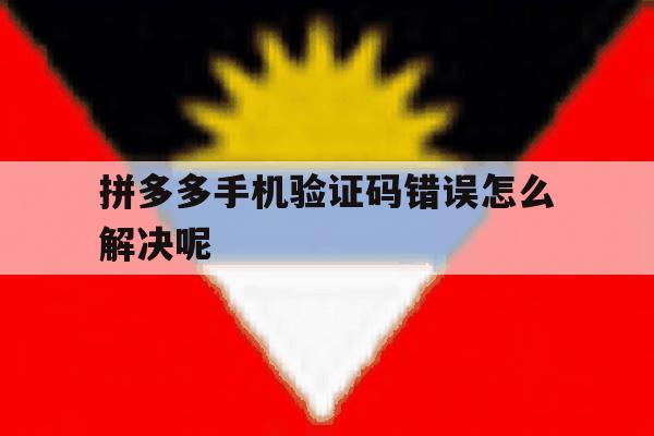 拼多多手机验证码错误怎么解决呢 拼多多手机验证码错误怎么解决呢
