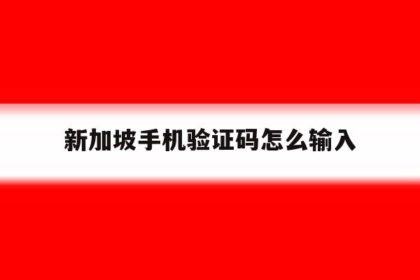 新加坡手机验证码怎么输入 新加坡手机验证码怎么输入