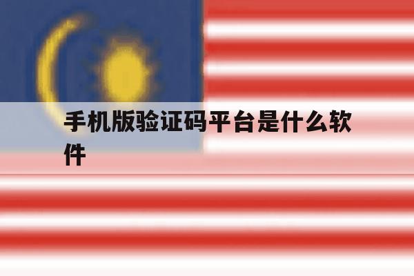 手机版验证码平台是什么软件 手机版验证码平台是什么软件