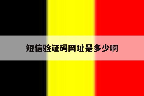短信验证码网址是多少啊 短信验证码网址是多少啊