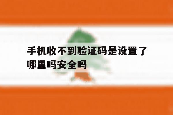 关于手机收不到验证码是设置了哪里吗安全吗的信息 关于手机收不到验证码是设置了哪里吗安全吗的信息