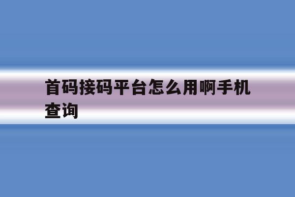 首码接码平台怎么用啊手机查询 首码接码平台怎么用啊手机查询