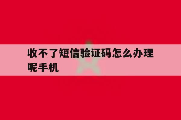 收不了短信验证码怎么办理呢手机 收不了短信验证码怎么办理呢手机